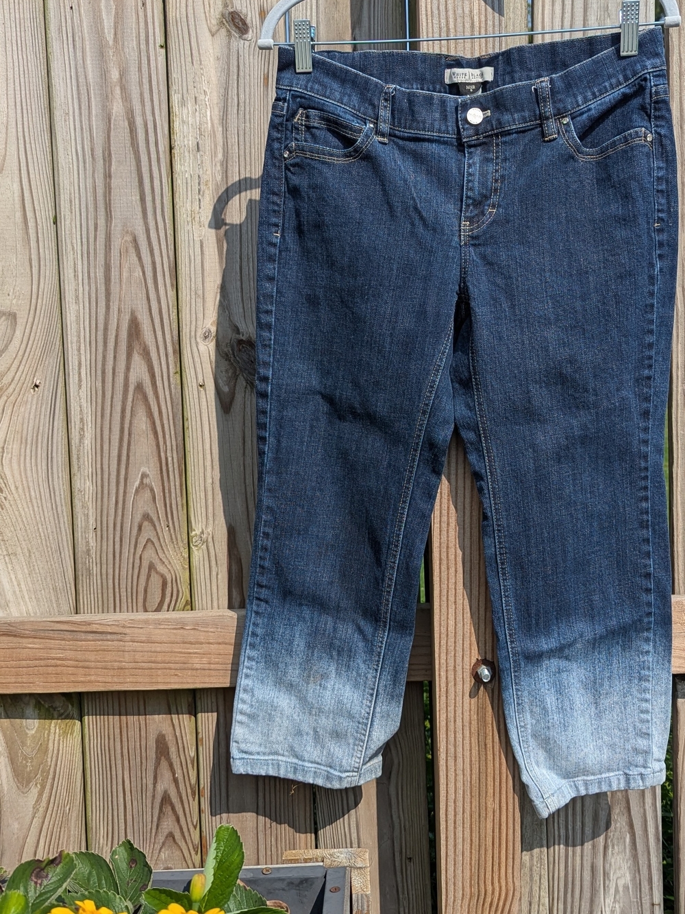 White House Black Market Blue Ombre Cropped Jeans